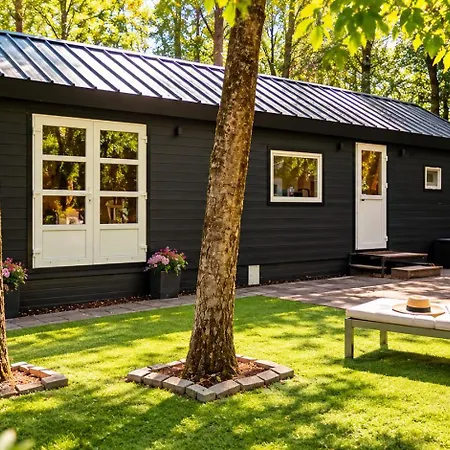 Camping Knus Boschalet In Het Diessen