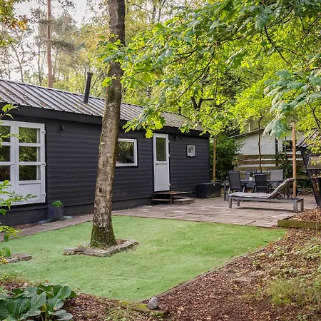 Camping Knus Boschalet In Het Diessen